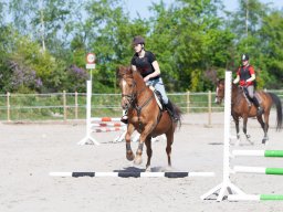 IMG_0485_web